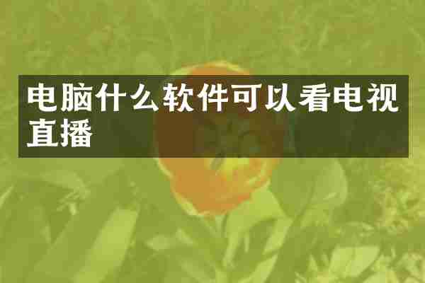 电脑什么软件可以看电视直播