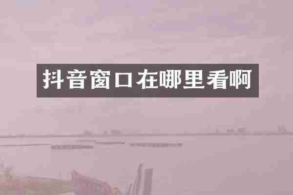 抖音窗口在哪里看啊