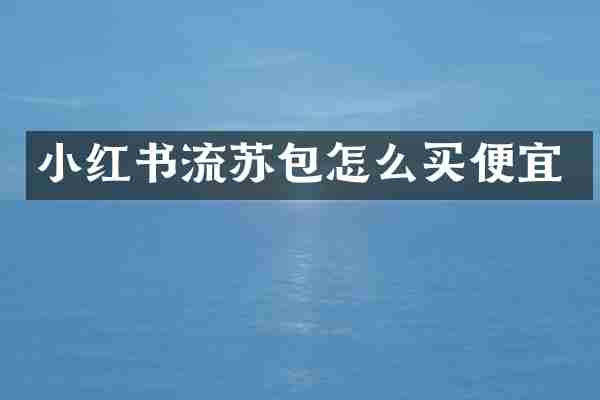 小红书流苏包怎么买便宜