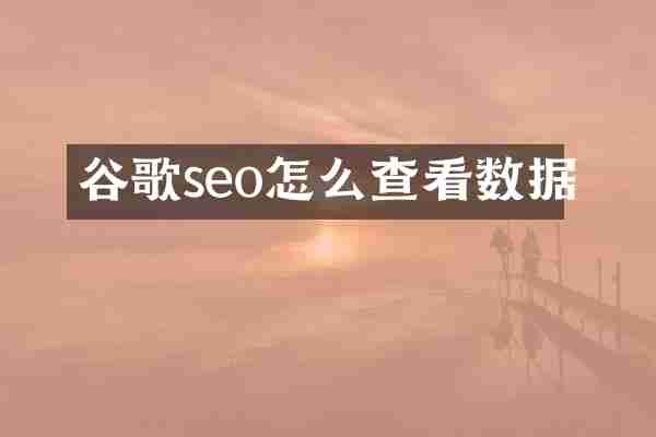 谷歌seo怎么查看数据
