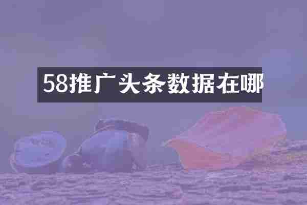58推广头条数据在哪