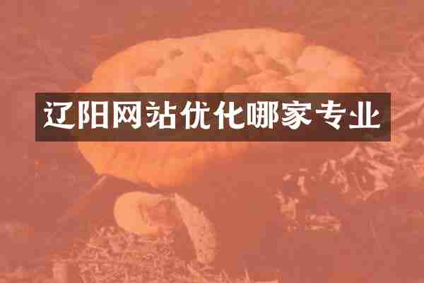辽阳网站优化哪家专业