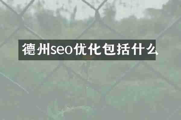 德州seo优化包括什么