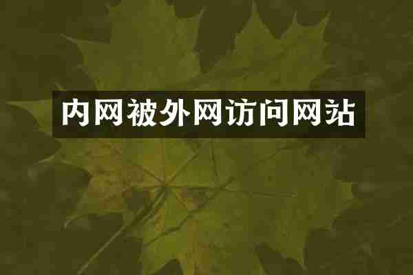 内网被外网访问网站