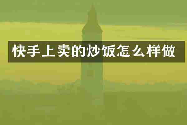 快手上卖的炒饭怎么样做