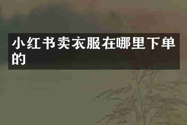 小红书卖衣服在哪里下单的