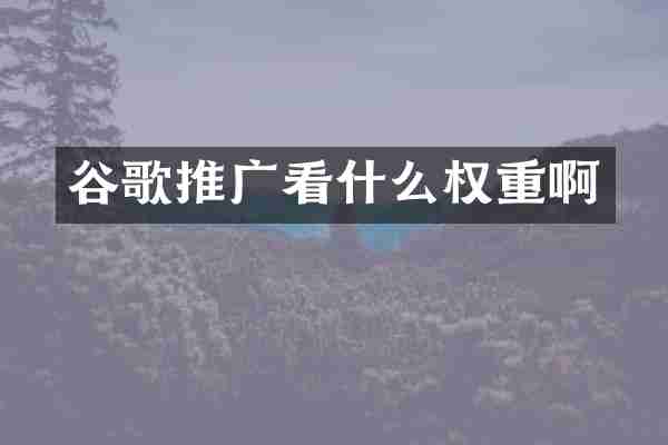 谷歌推广看什么权重啊