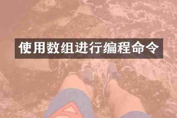 使用数组进行编程命令