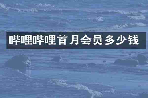 哔哩哔哩首月会员多少钱