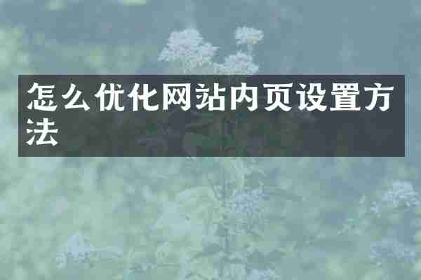 怎么优化网站内页设置方法