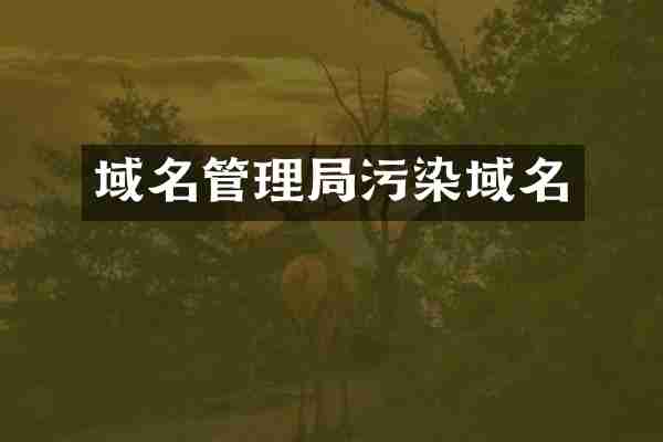 域名管理局污染域名