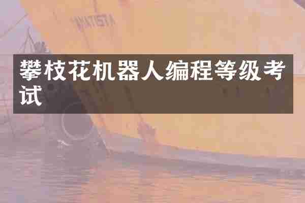 攀枝花机器人编程等级考试