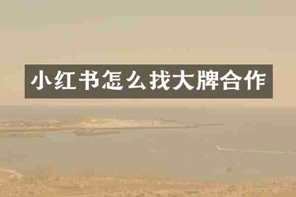 小红书怎么找大牌合作