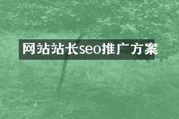 网站站长seo推广方案