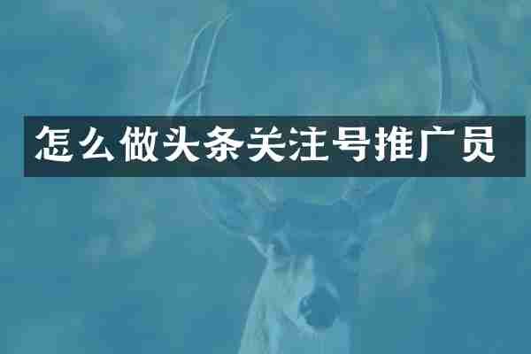 怎么做头条关注号推广员