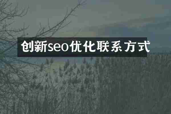 创新seo优化联系方式