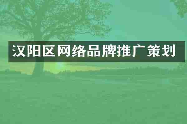汉阳区网络品牌推广策划