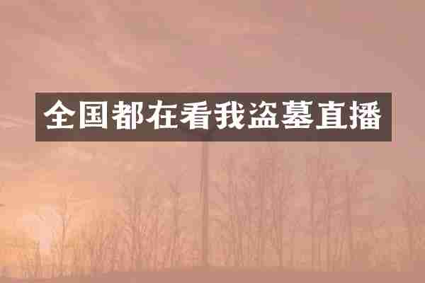 全国都在看我盗墓直播