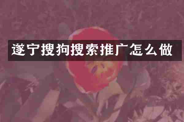 遂宁搜狗搜索推广怎么做