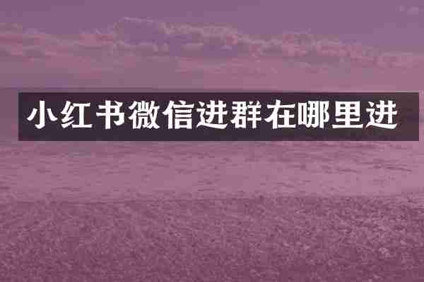 小红书微信进群在哪里进