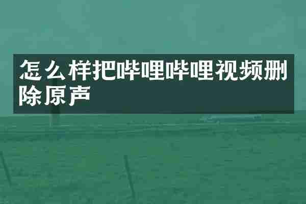 怎么样把哔哩哔哩视频删除原声
