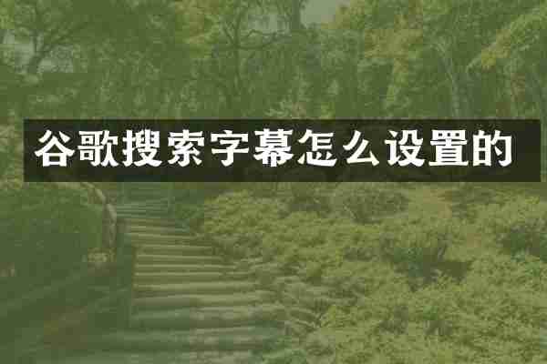 谷歌搜索字幕怎么设置的