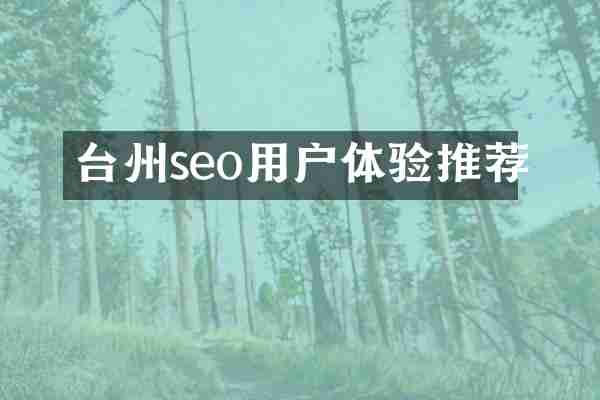 台州seo用户体验推荐