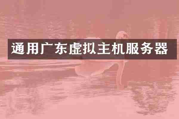 通用广东虚拟主机服务器