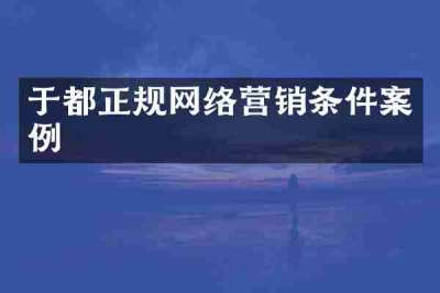 于都正规网络营销条件案例