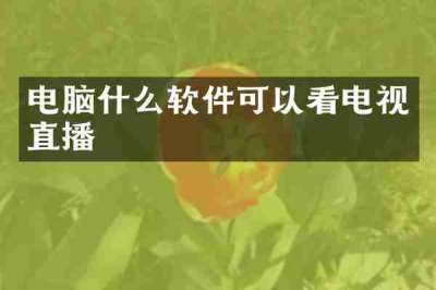 电脑什么软件可以看电视直播