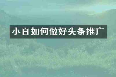 小白如何做好头条推广