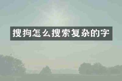 搜狗怎么搜索复杂的字