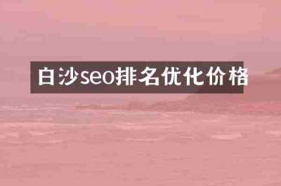 白沙seo排名优化价格