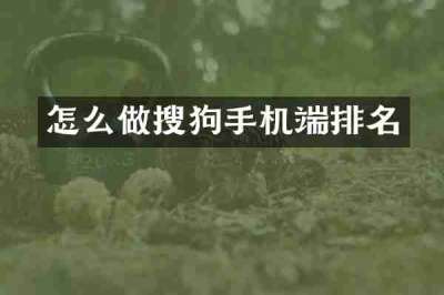 怎么做搜狗手机端排名