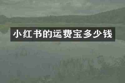 小红书的运费宝多少钱
