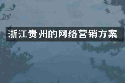 浙江贵州的网络营销方案