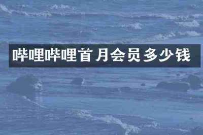 哔哩哔哩首月会员多少钱