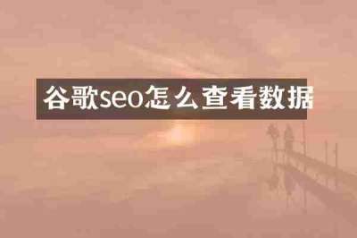 谷歌seo怎么查看数据