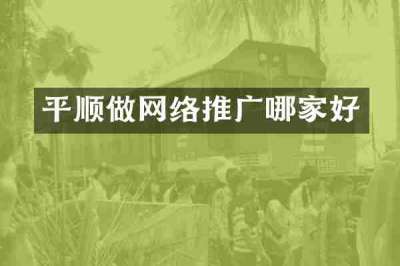 平顺做网络推广哪家好