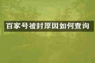 百家号被封原因如何查询
