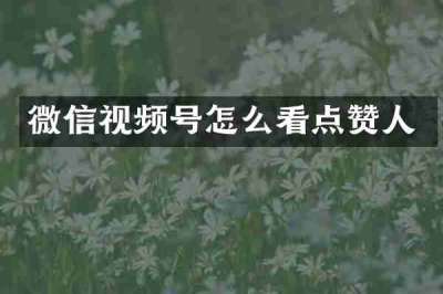 微信视频号怎么看点赞人