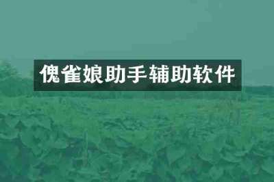 傀雀娘助手辅助软件