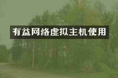 有益网络虚拟主机使用