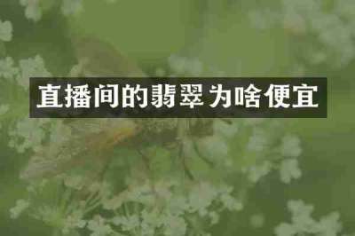 直播间的翡翠为啥便宜