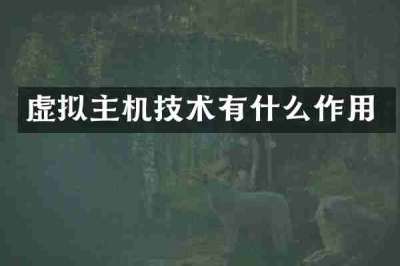 虚拟主机技术有什么作用