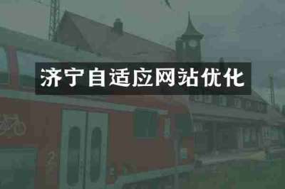 济宁自适应网站优化