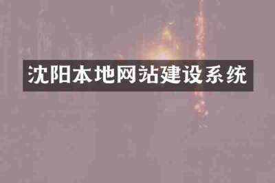 沈阳本地网站建设系统