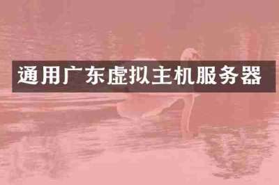 通用广东虚拟主机服务器