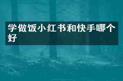 学做饭小红书和快手哪个好