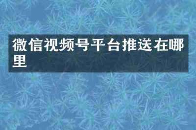 微信视频号平台推送在哪里